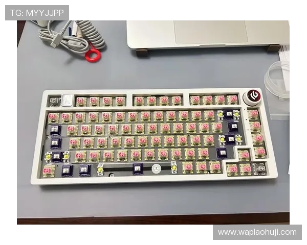 ttc键盘官网官方商城详细信息，支持多种支付方式确保购物安全与便捷