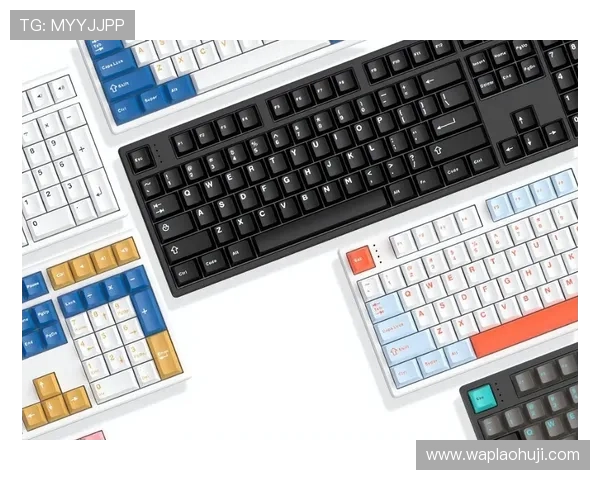 在ttc键盘官网了解不同系列产品的特色与使用场景，提升你的打字体验