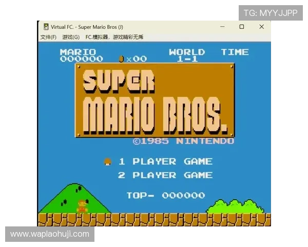 如何选择适合自己的FC电子模拟器软件推荐