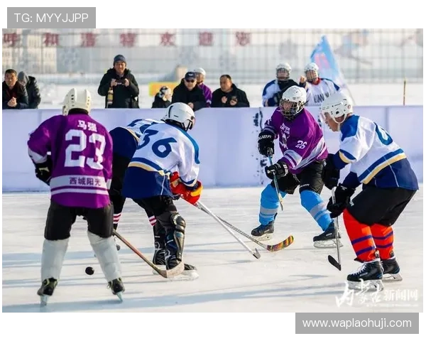 冰球突破豪华版试玩免费体验,开启你的精彩冰球竞技之旅