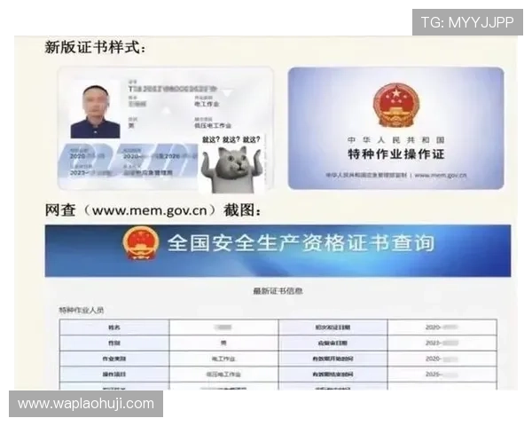 如何通过papa电子证书提升个人数字身份安全保障措施详解 如何通过papa电子证书提升个人数字身份安全保障措施详解