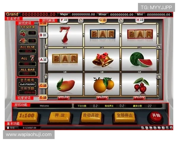 老虎机旗舰网站：多样化游戏选择满足不同玩家的需求