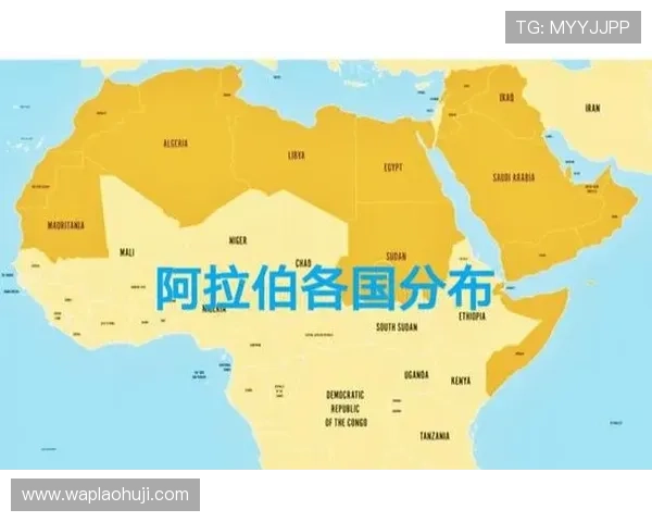 2026年世界杯约旦与阿尔及利亚比赛比分详细回顾与战术解析